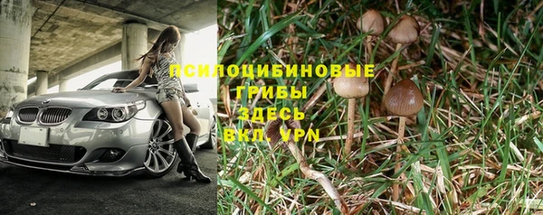 а пвп мука Армянск