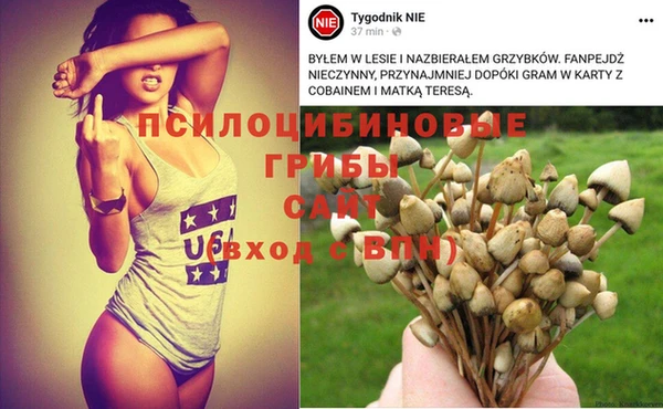 а пвп мука Аркадак