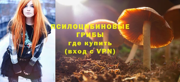 а пвп мука Армянск