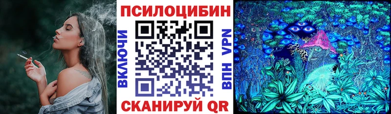 мега как войти  Светлогорск  Псилоцибиновые грибы прущие грибы 